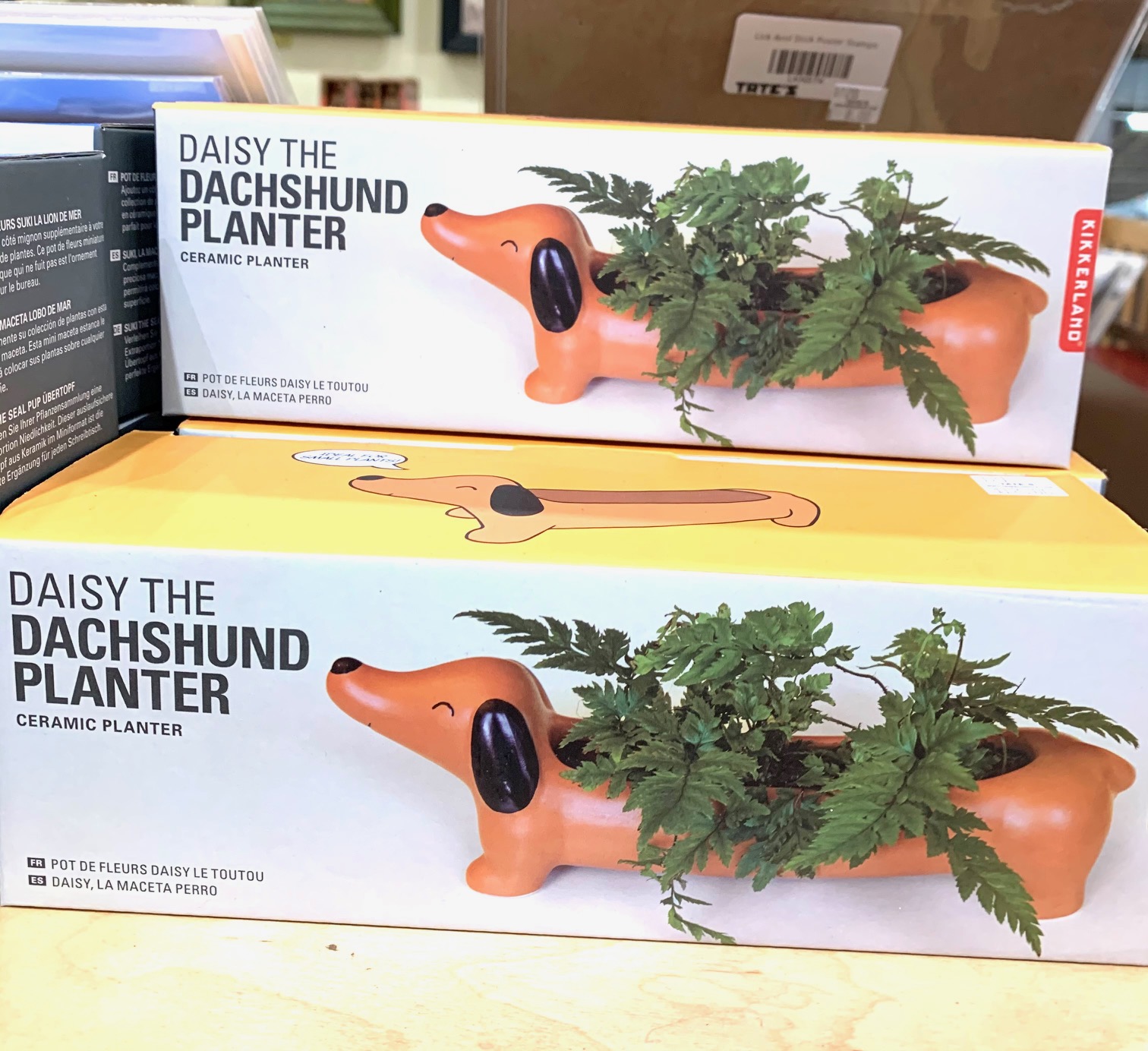 63406606603__DA6E71D6-84C9-4DB3-ABBB-EE0337F9AA9C